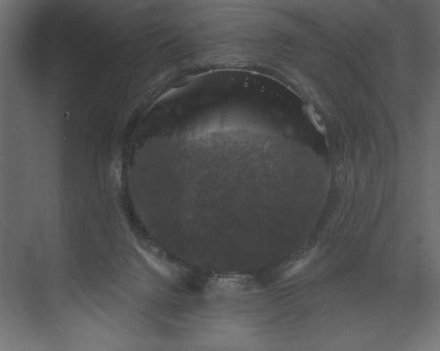 X0000073890072200608251442