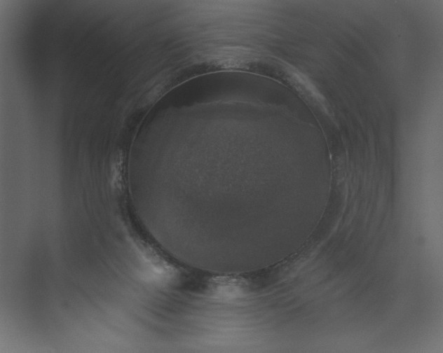 X0000073890073200608251442