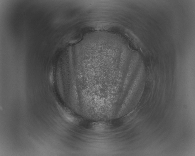 X0000073890074200608251442