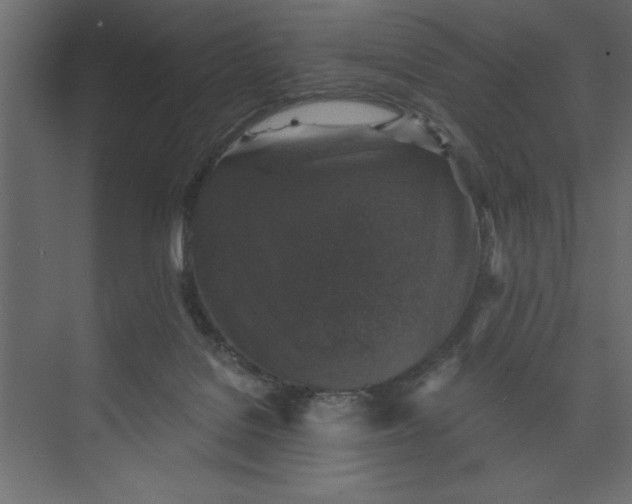 X0000073890076200608251442