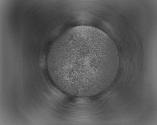 X0000073890077200608251442