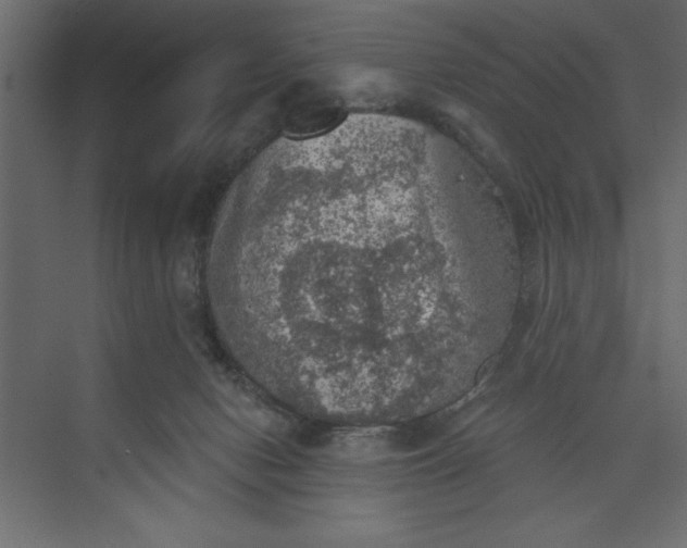 X0000073890078200608251442