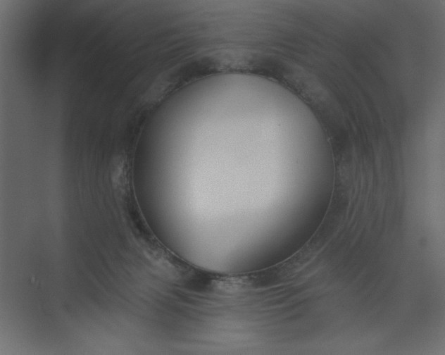 X0000073890079200608251442