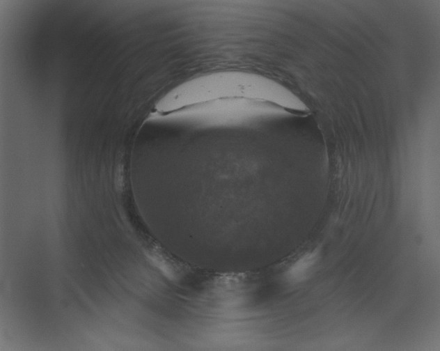 X0000073890080200608251442