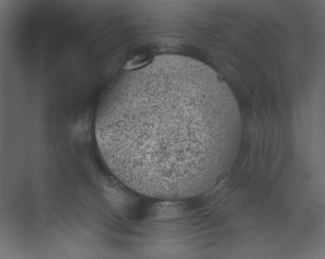 X0000073890082200608251442