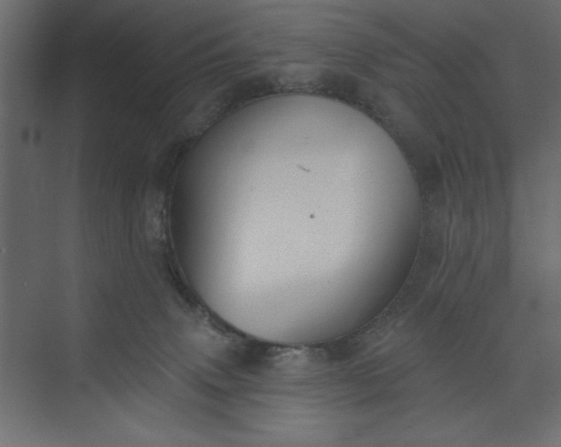 X0000073890083200608251442