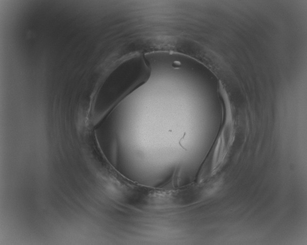 X0000073890084200608251442