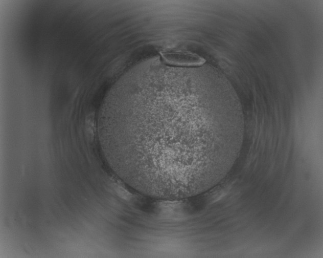 X0000073890085200608251442