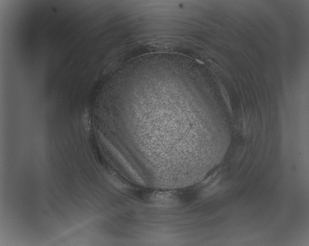 X0000073890086200608251442