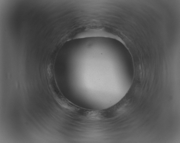 X0000073890088200608251442