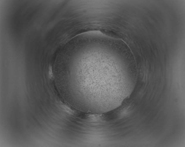 X0000073890089200608251442