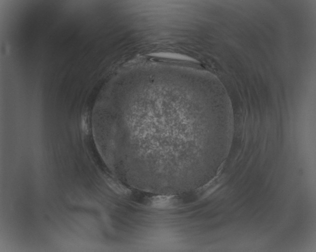 X0000073890090200608251442