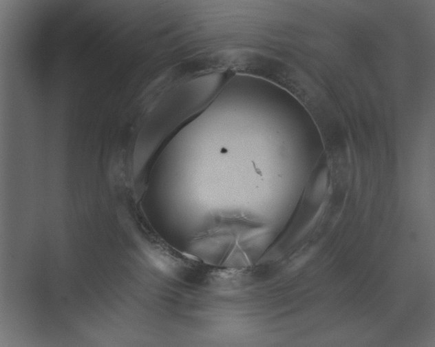 X0000073890092200608251442