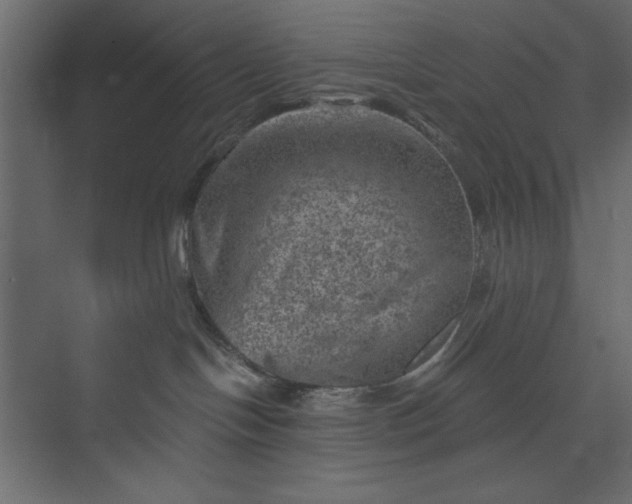 X0000073890094200608251442