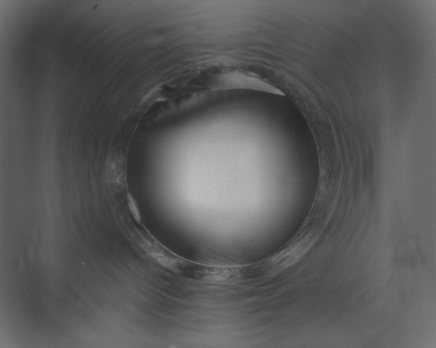 X0000073890096200608251442