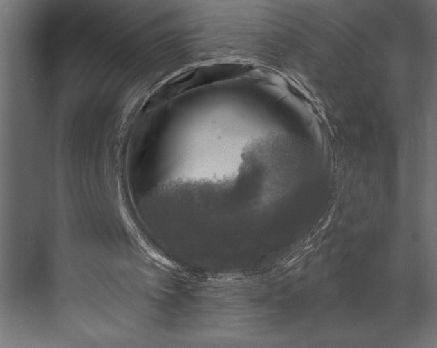 X0000073890097200608251442