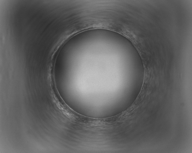 X0000073890098200608251442