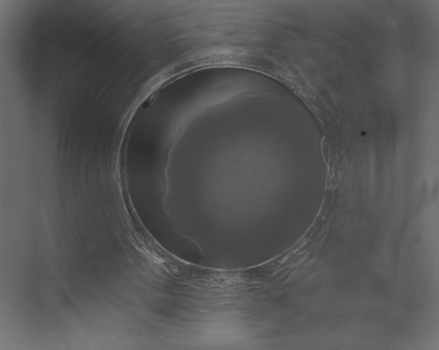 X0000073890099200608251442