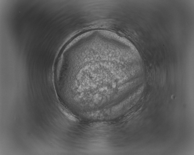 X0000073890100200608251442