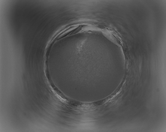 X0000073890101200608251442