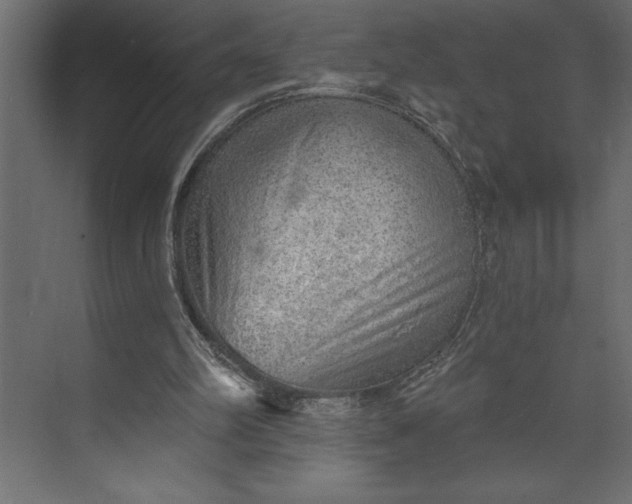 X0000073890102200608251442