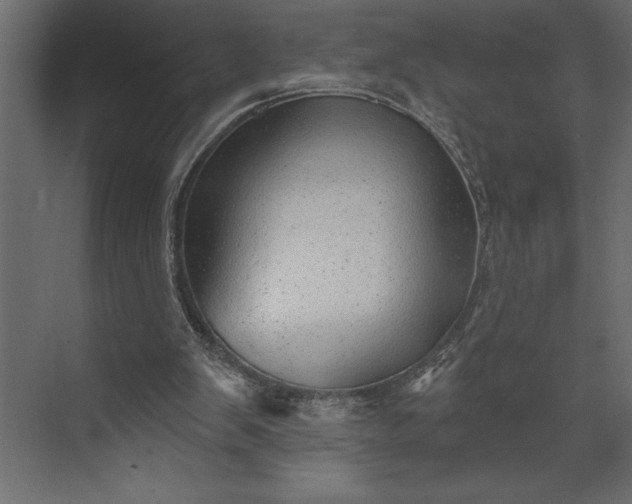 X0000073890103200608251442