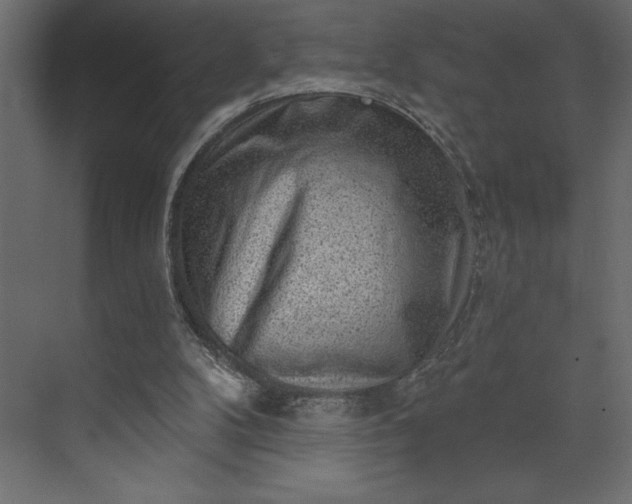 X0000073890104200608251442