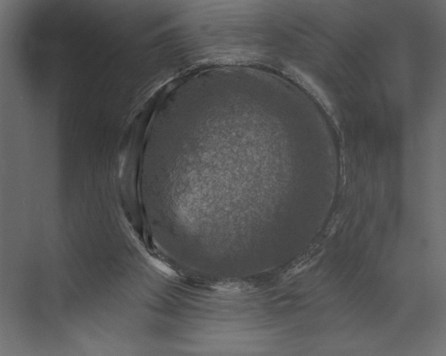 X0000073890105200608251442