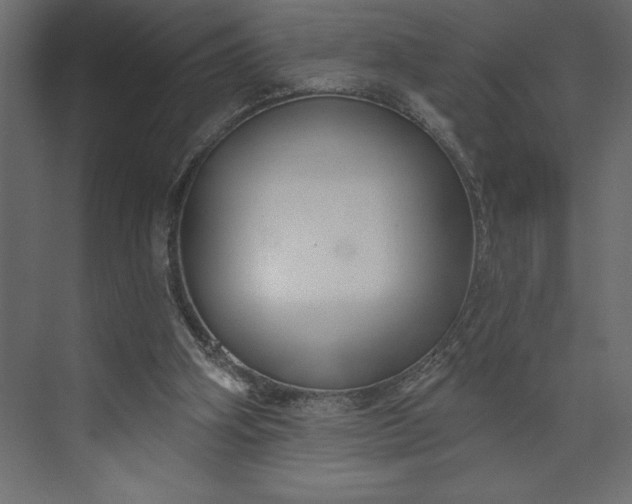 X0000073890106200608251442