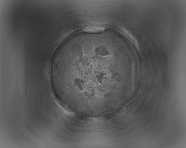 X0000073890107200608251441