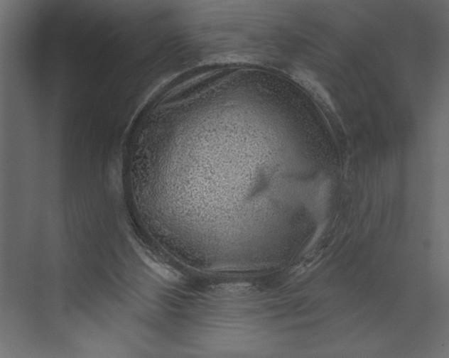 X0000073890108200608251441