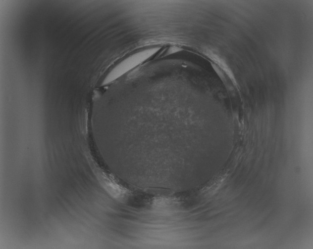 X0000073890109200608251441