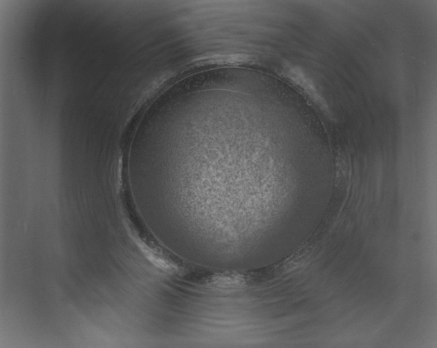 X0000073890110200608251441