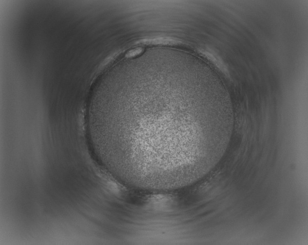 X0000073890111200608251441