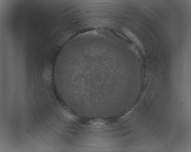 X0000073890113200608251441