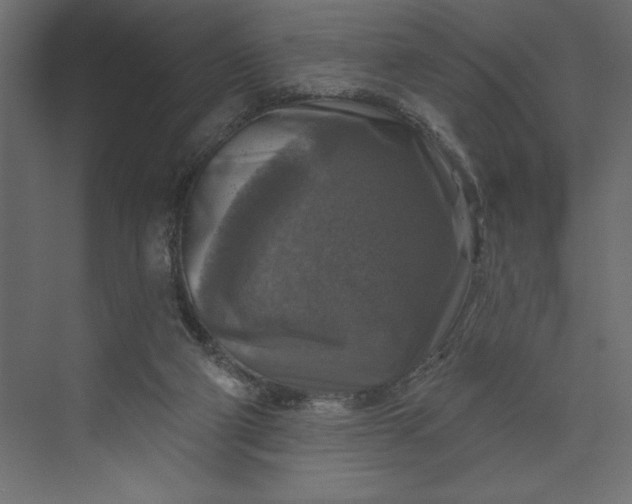 X0000073890114200608251441