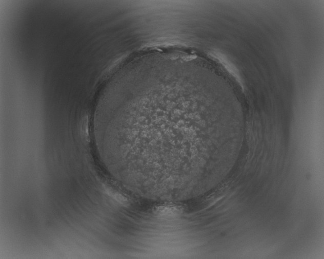 X0000073890115200608251441