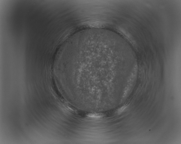 X0000073890117200608251441