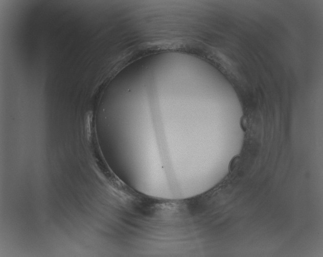 X0000073890118200608251441