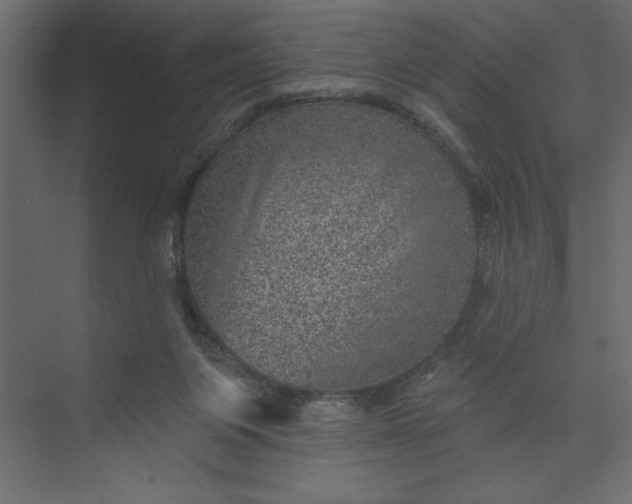 X0000073890119200608251441