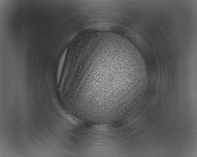 X0000073890120200608251441