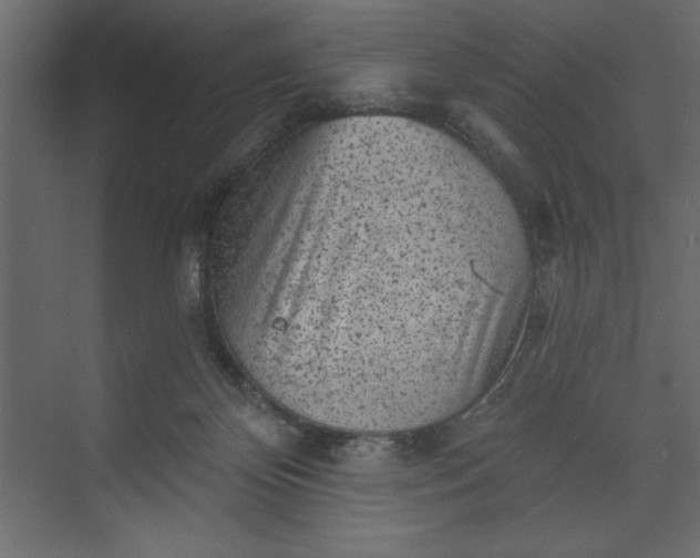 X0000073890124200608251441