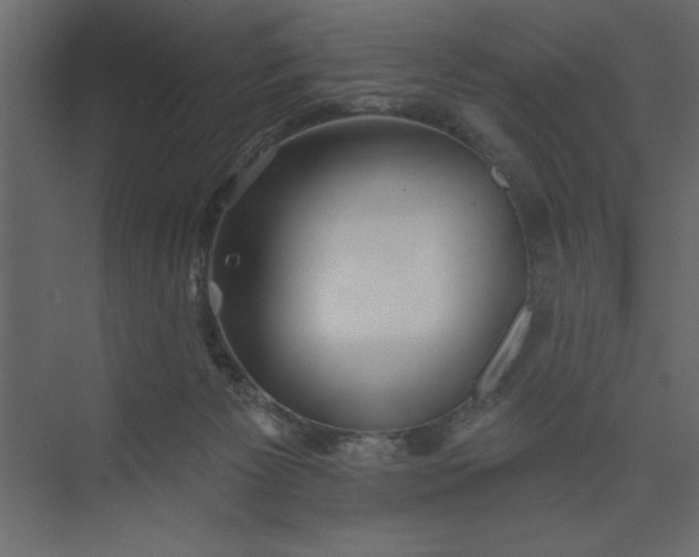 X0000073890125200608251441