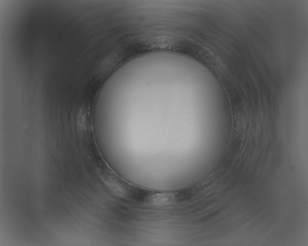 X0000073890126200608251441