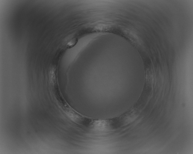 X0000073890127200608251441