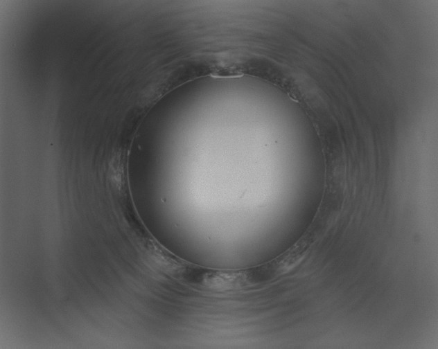 X0000073890129200608251441