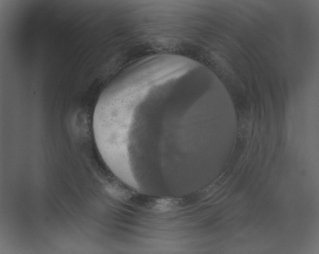 X0000073890130200608251441