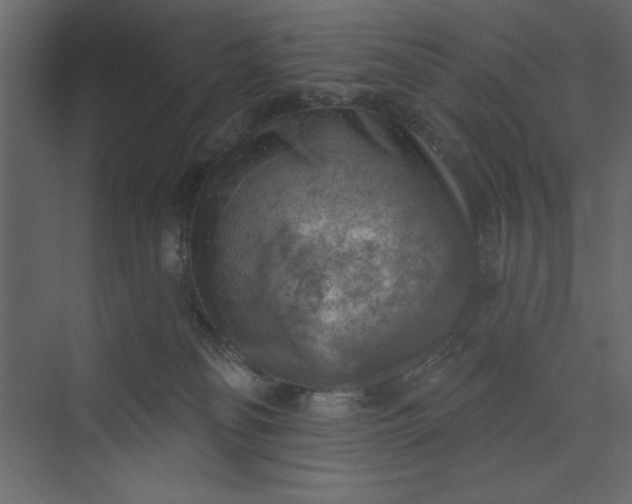 X0000073890134200608251441