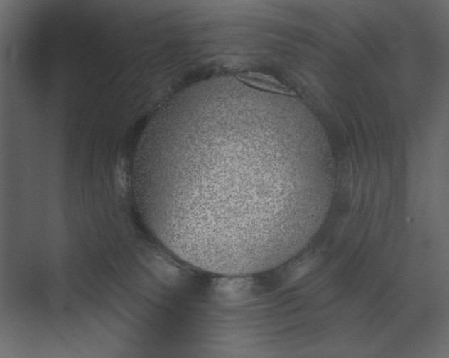 X0000073890135200608251441