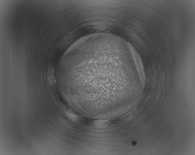 X0000073890136200608251441